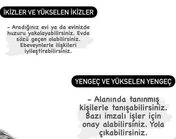 güneş başak12 (4).webp