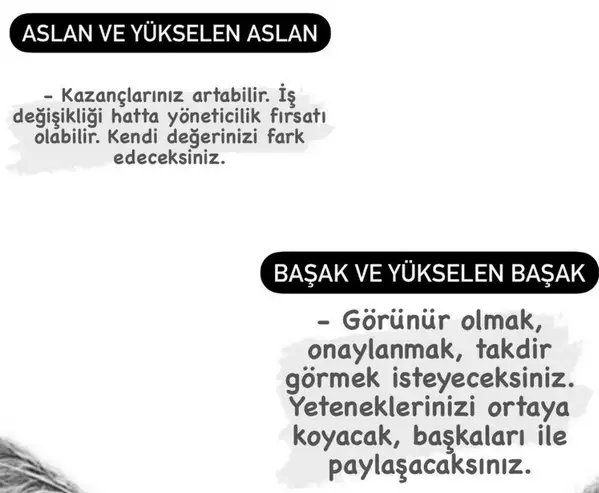 güneş başak12 (5).webp