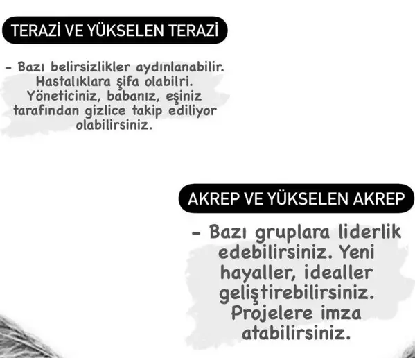 güneş başak12 (6).webp