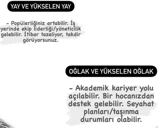 güneş başak12 (7).webp
