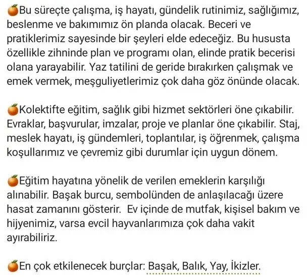 güneş başak14 (2) - Kopya.webp