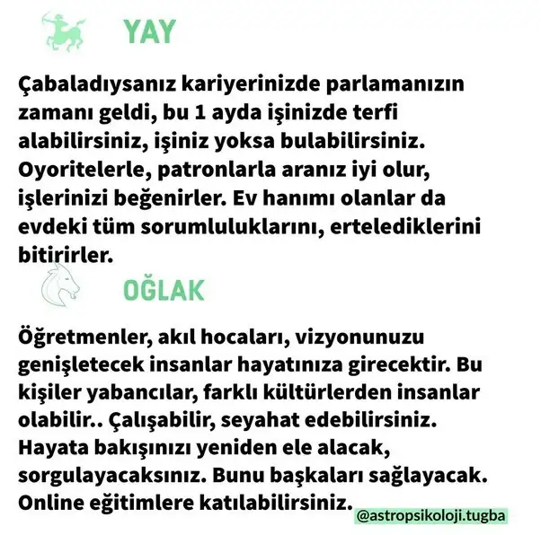 güneş başak16 (6).webp
