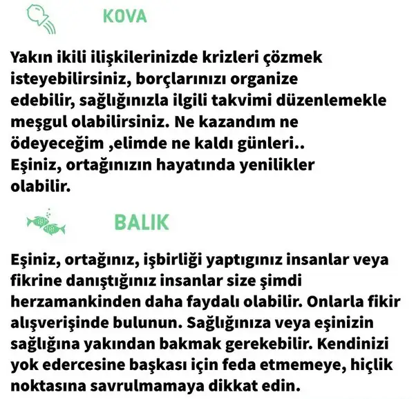 güneş başak16 (7).webp