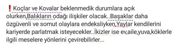 güneş başak19 (2).webp
