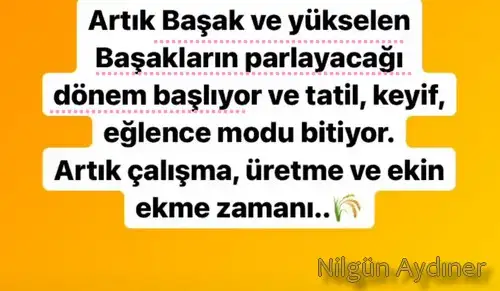 güneş başak2.webp
