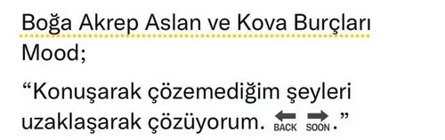 güneş ikizler (2).webp