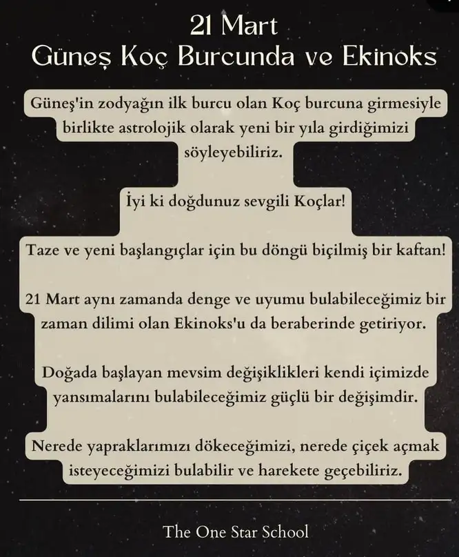güneş koç.webp