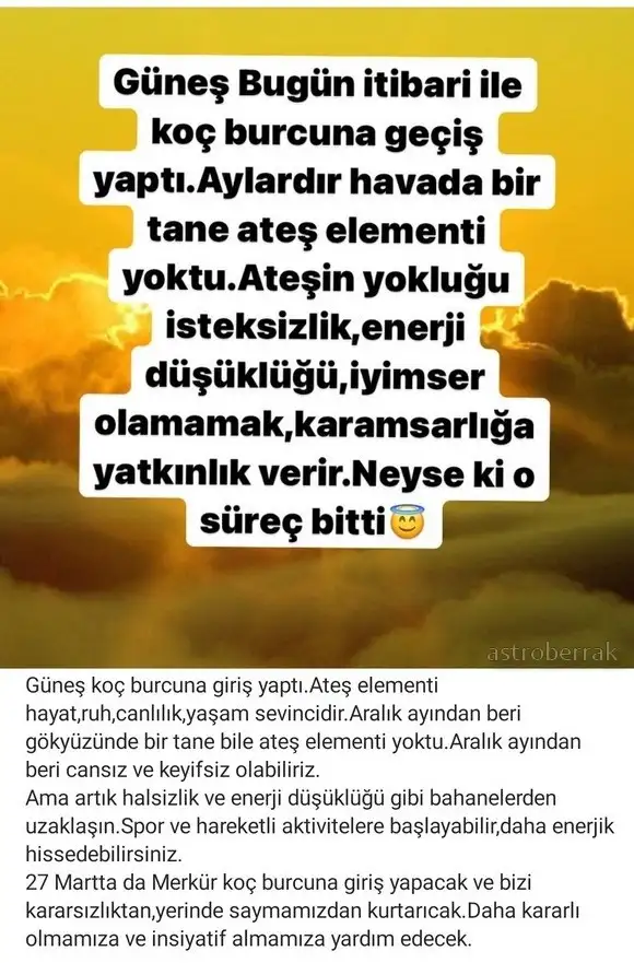güneş koç1.webp