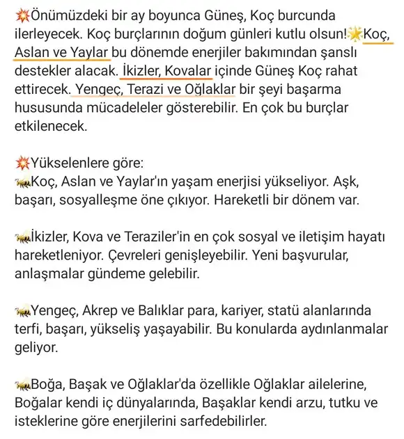 güneş koç3 (2).webp