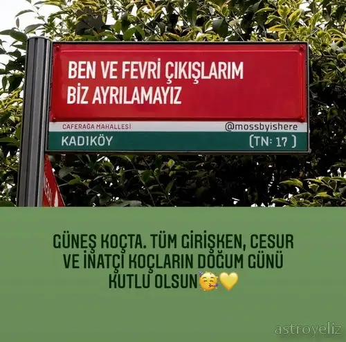 güneş koç4.webp