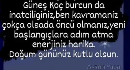 güneş koç6.webp