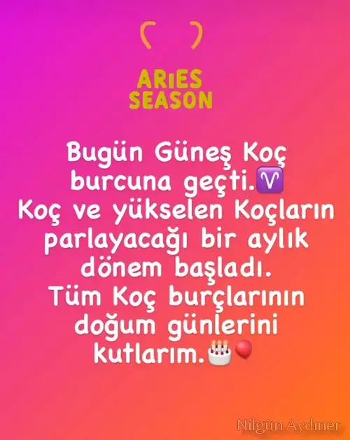 güneş koç7.webp
