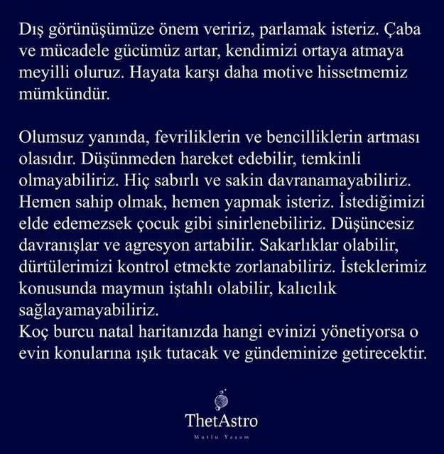 güneş koç8 (3).webp