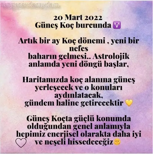 güneş koç9.webp