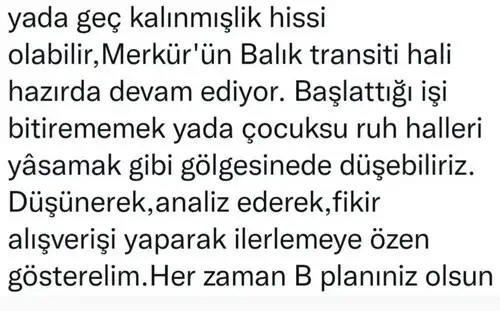 güneş koç90 (2).webp
