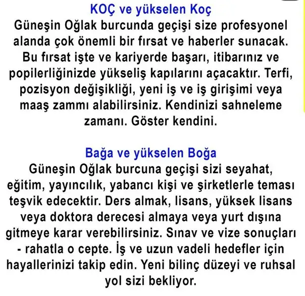 güneş oğlak (2).webp