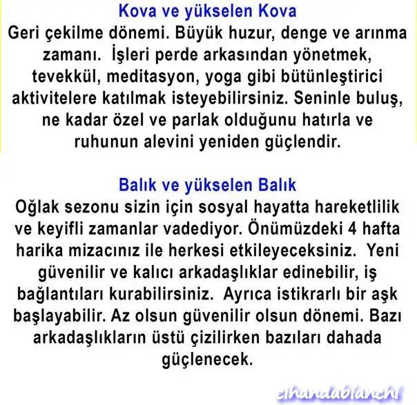 güneş oğlak (7).webp