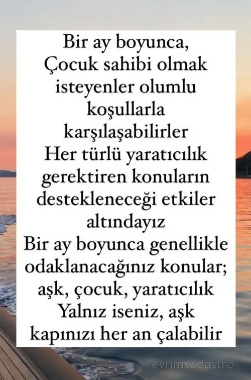 güneş yen1.webp