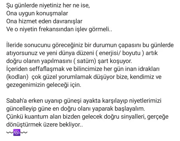 güneş yengeç (3).webp