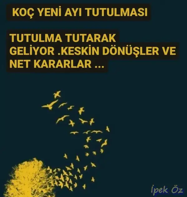 güneş1 (1).webp
