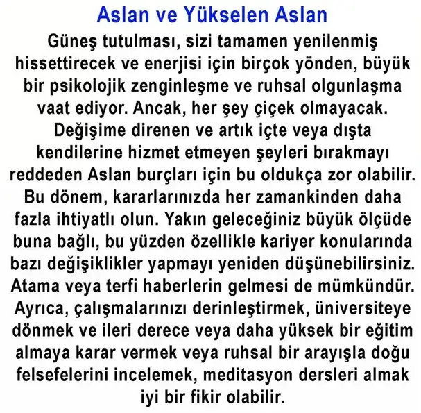güneş1 (5).webp