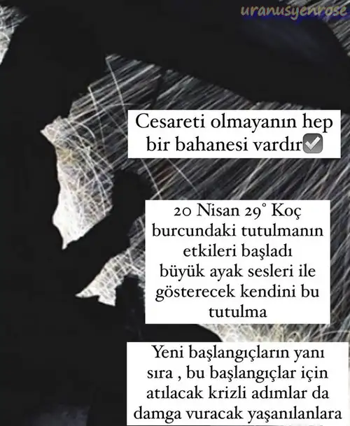 güneş25.webp