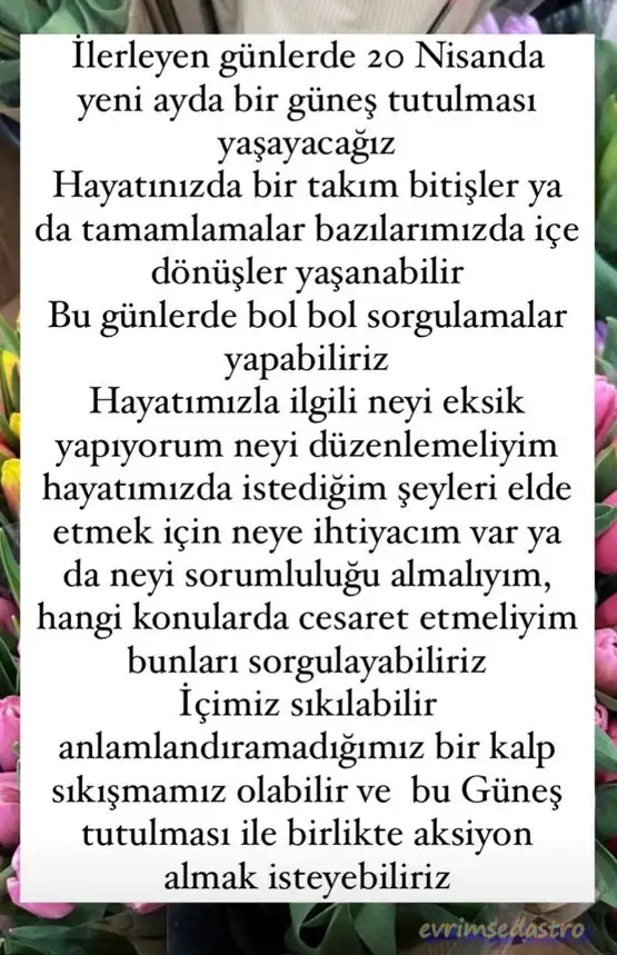güneş9.webp