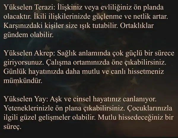 günkoç11 (4).webp