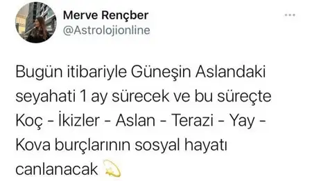 günrş aslan (1).webp