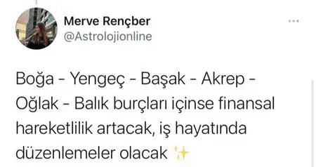 günrş aslan (2).webp