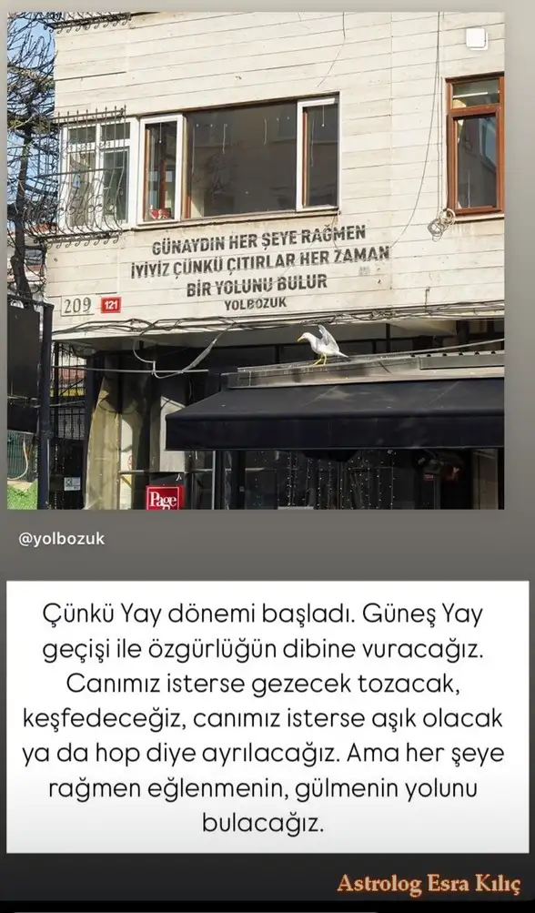 günyayy (2).webp