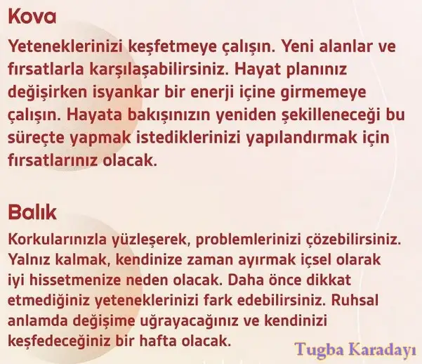 h 23 (7).webp