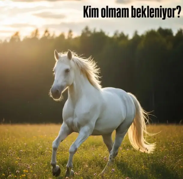h 4 6 ek.webp