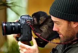 h.webp