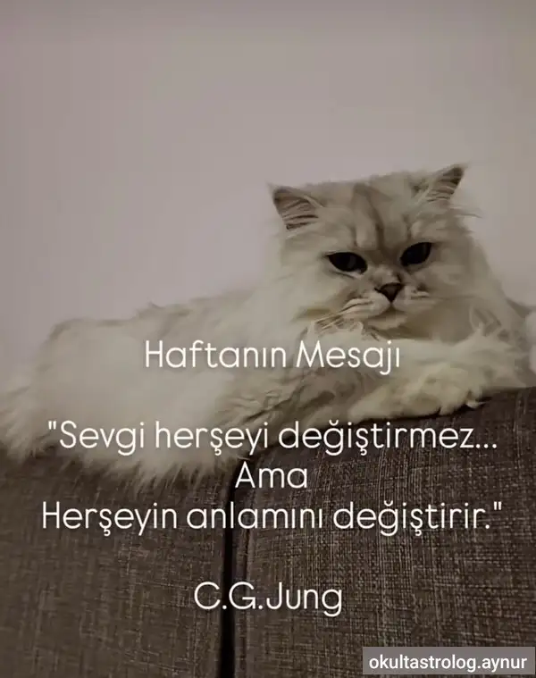 h.webp