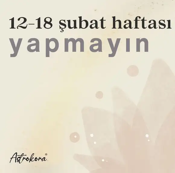 h1 (1).webp