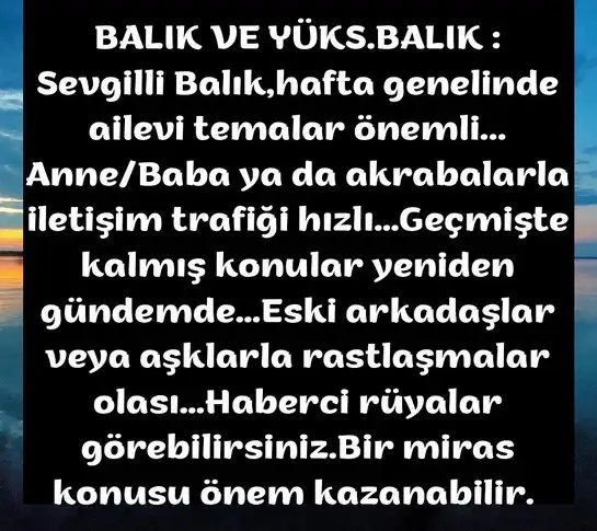 h1 (12).webp