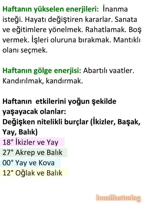 h1 (4).webp