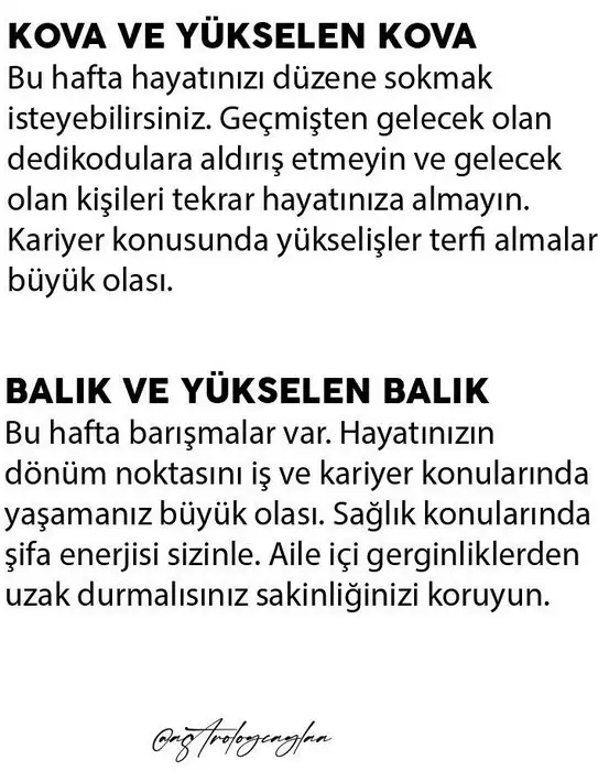 h1 (7).webp