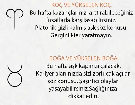 h10 (2).webp