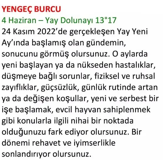h10 (20).webp