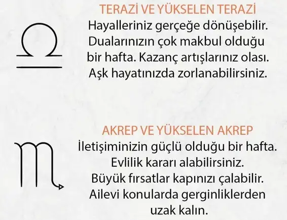 h10 (5).webp