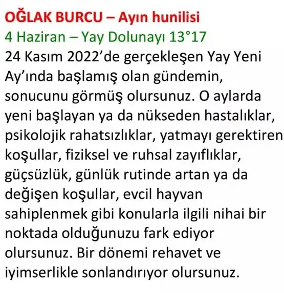 h10 (58).webp