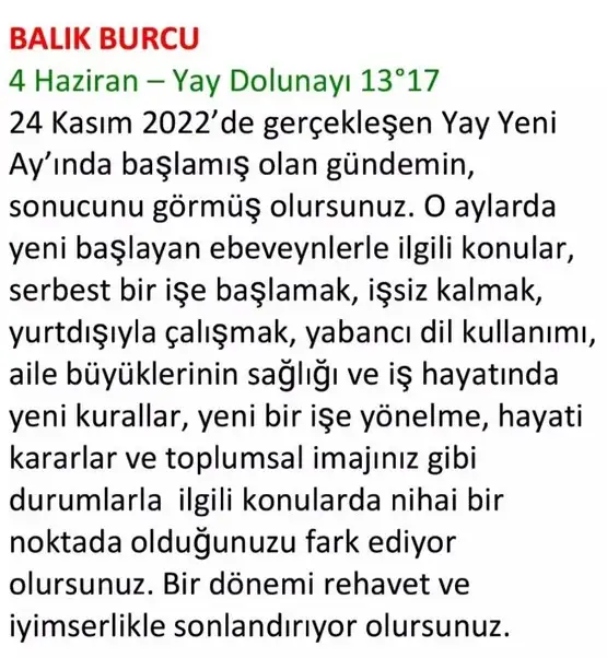 h10 (70).webp