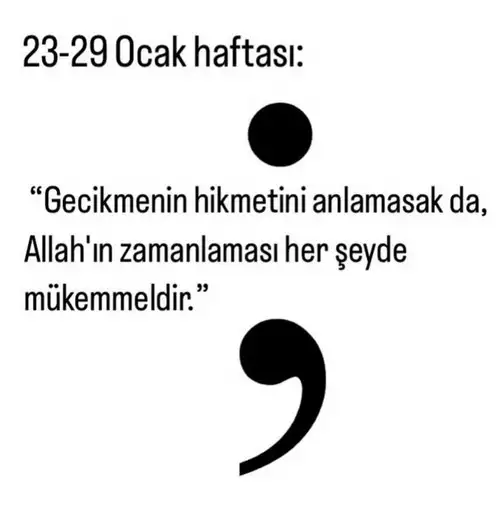 h11 (1).webp