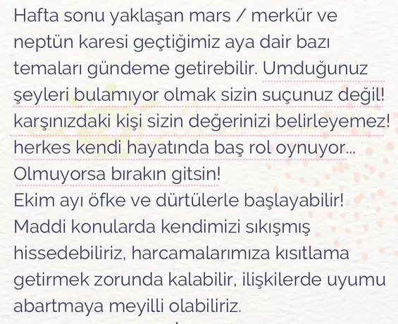 h11 (10).webp