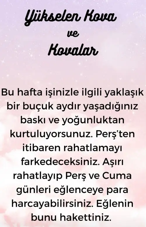 h11 (12).webp