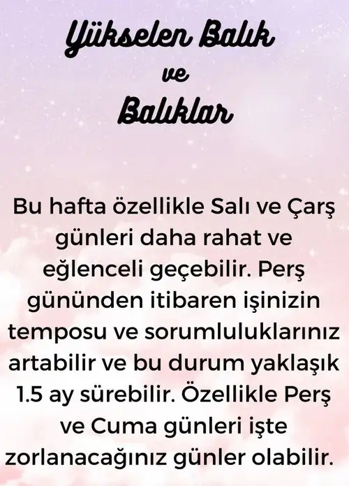 h11 (13).webp