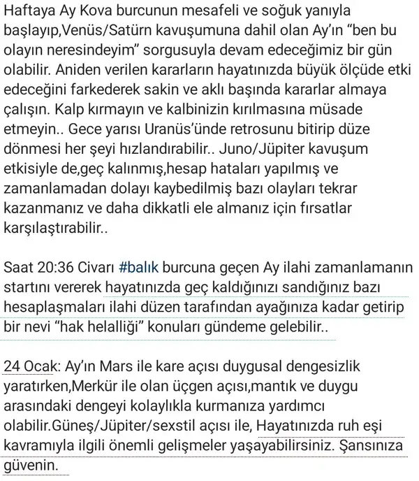h11 (2).webp