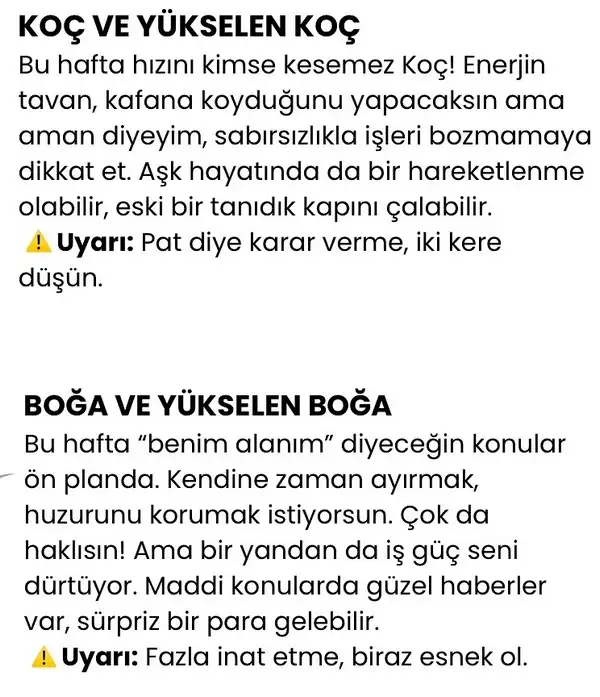 h11 (2).webp